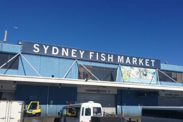 fish market in sydney australia