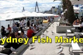 fish market sydney australia