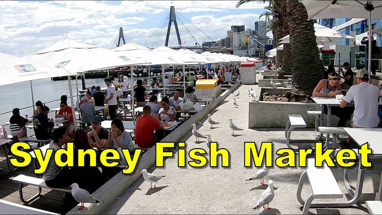 fish market sydney australia