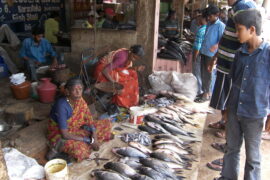 fishery market