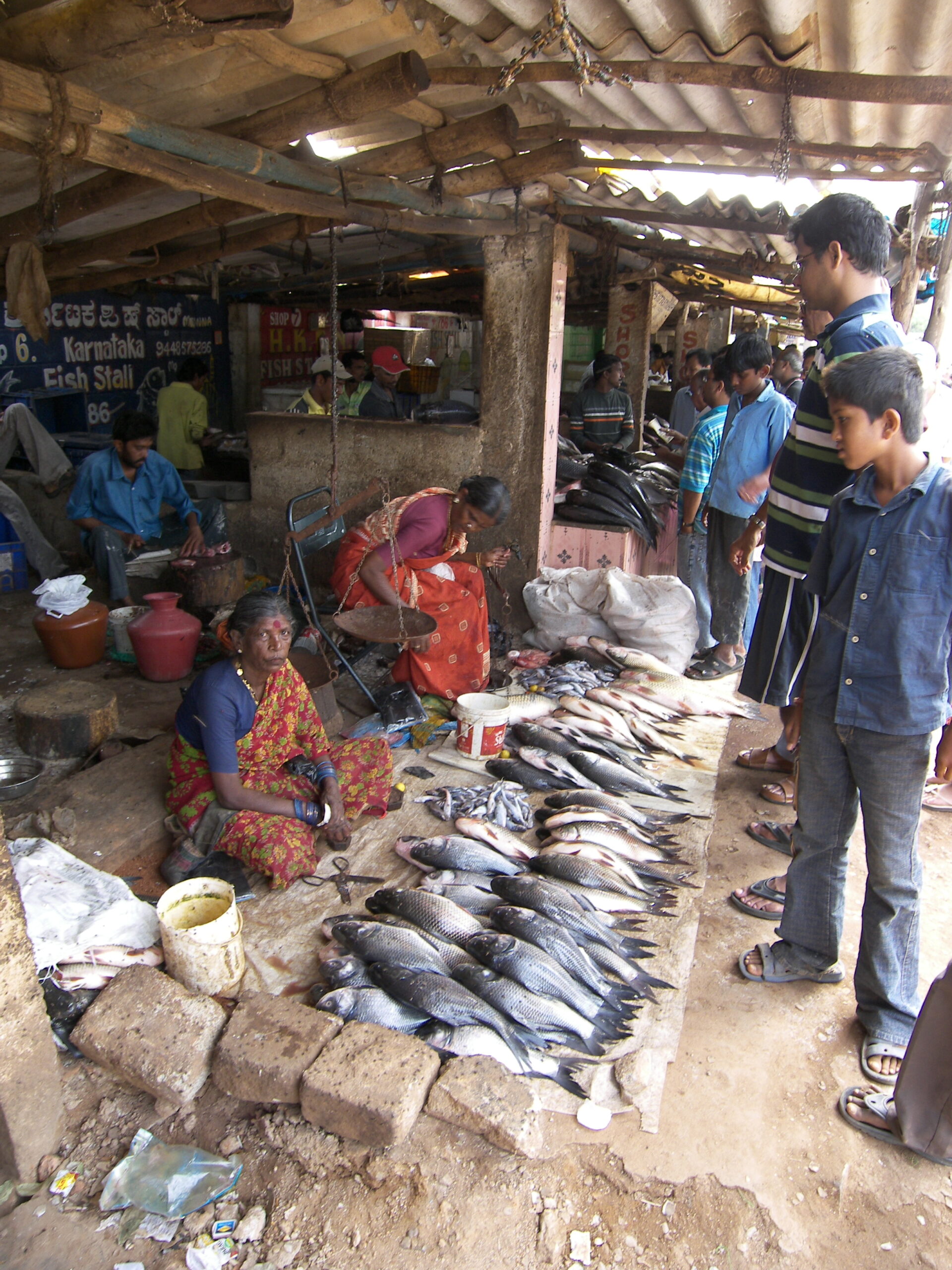 fishery market