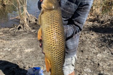 fishing sports near me adelaide