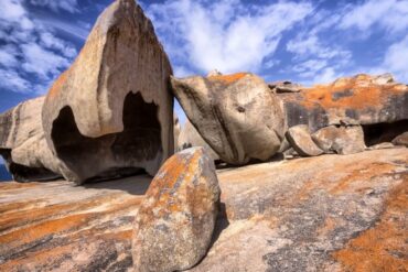 flinders chase national park