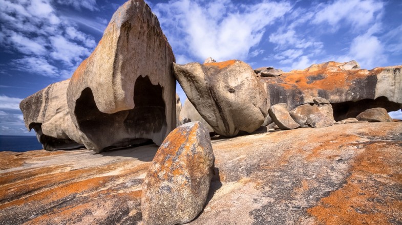 flinders chase national park