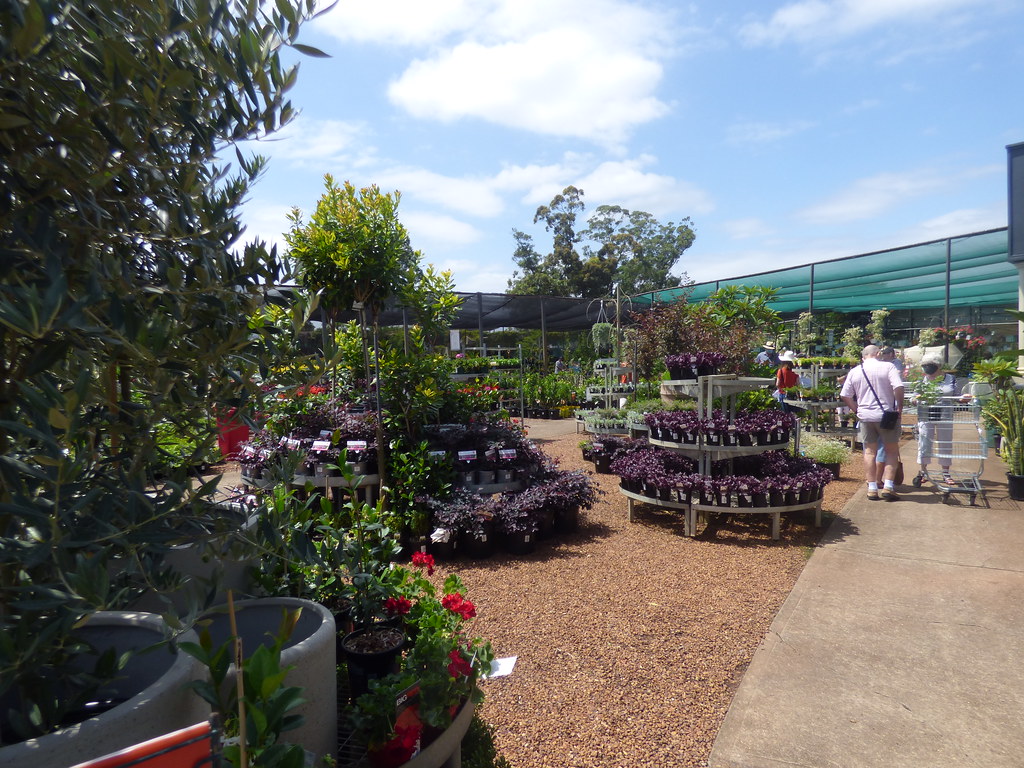 flower power nursery glenhaven sydney