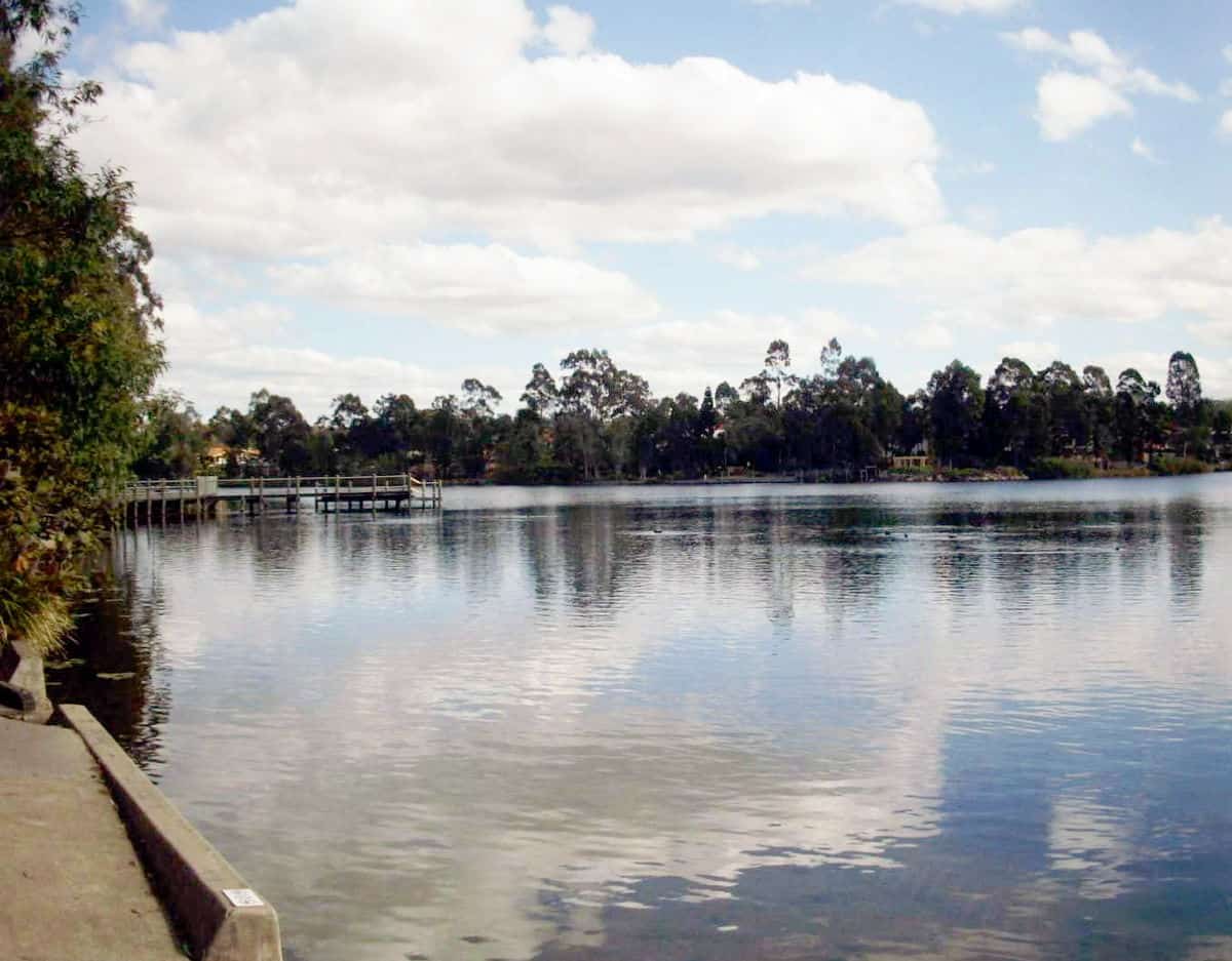 forest lake brisbane