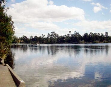 forest lake queensland