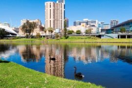 free things to do adelaide