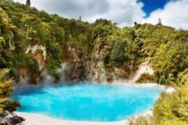 free things to do in rotorua nz