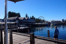 fremantle australia restaurants