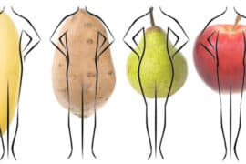 fruit body shapes