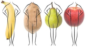 fruit body shapes