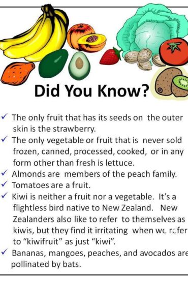 fun facts about nutrition