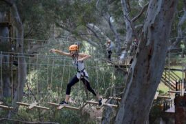 funny things to do near me adelaide