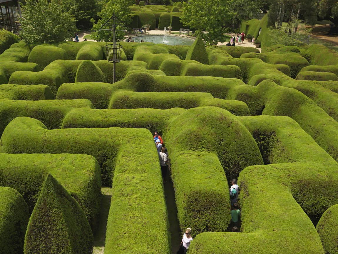 garden maze melbourne