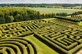 garden maze sydney