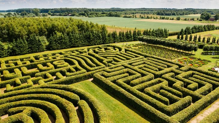 garden maze sydney