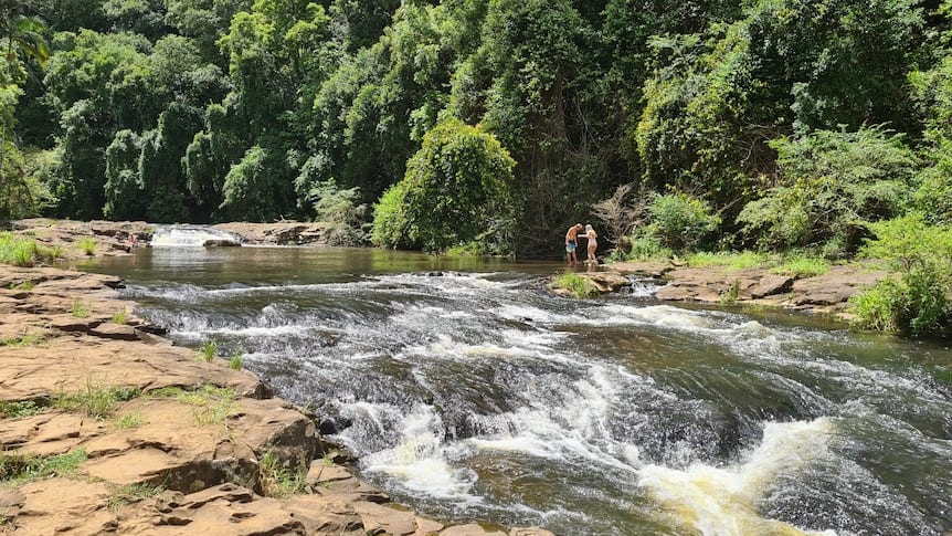 gardners falls maleny qld