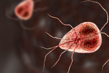 giardia stomach bug