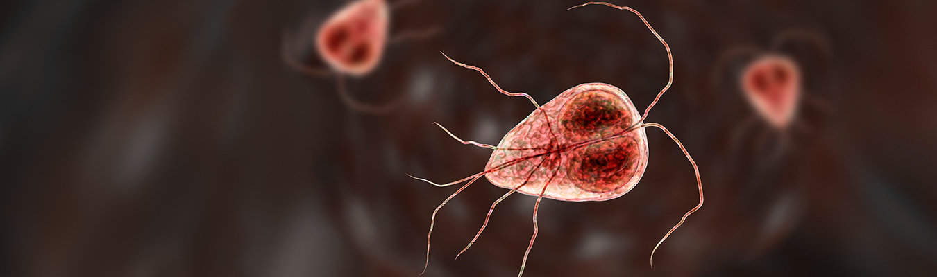 giardia stomach bug