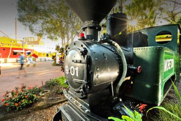 ginger factory yandina