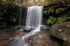 girrakool national park sydney