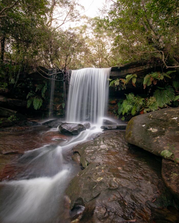 girrakool national park sydney