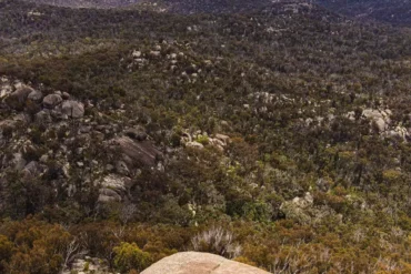 girraween national park australia