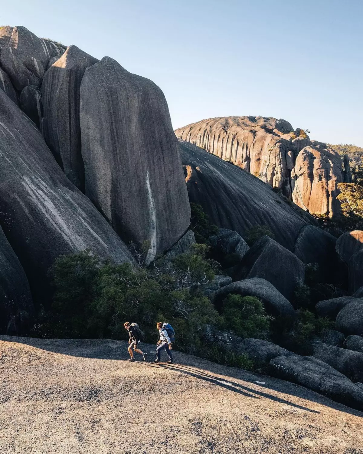 girraween np