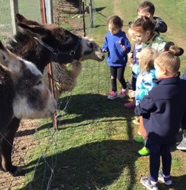 gisborne montessori