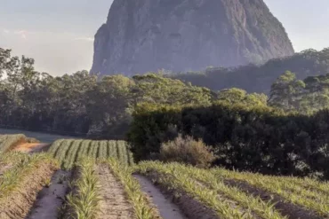 glasshouse mountains lookout