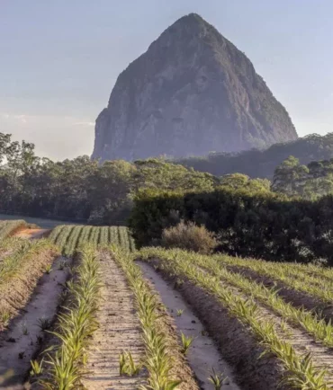 glasshouse mountains lookout