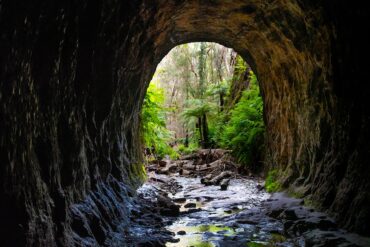 glow worm caves blue mountains sydney