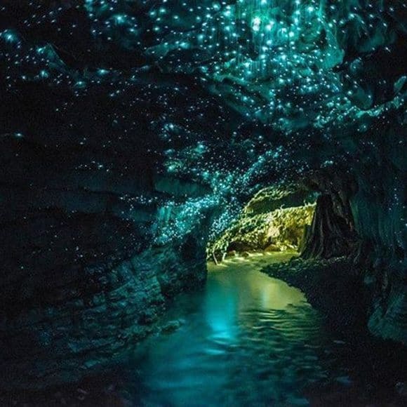 glow worms cave