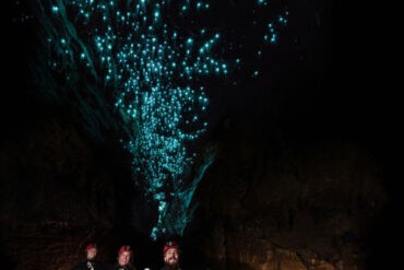 glow worms in caves