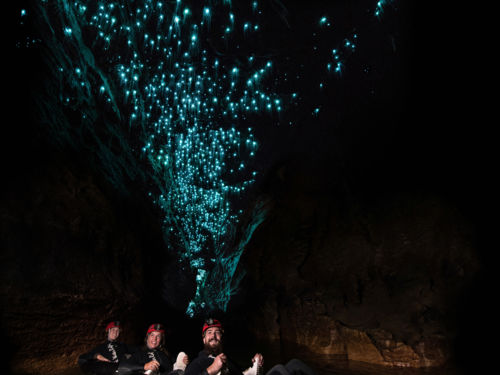 glow worms in caves