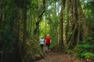 gold coast camping