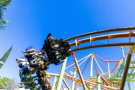 gold coast theme park packages