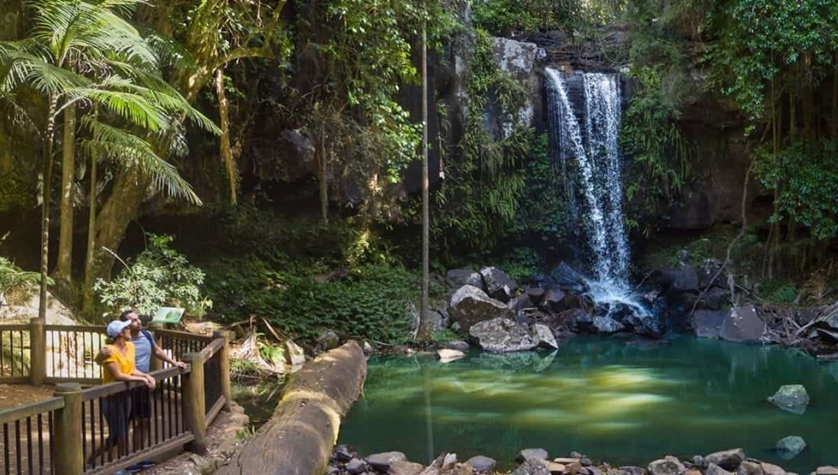 gold coast to hinterland