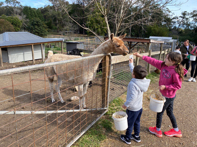 golden ridge animal farm sydney