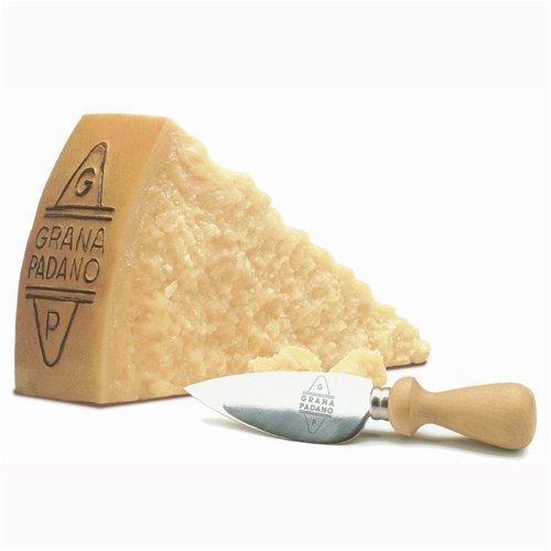 grana padano