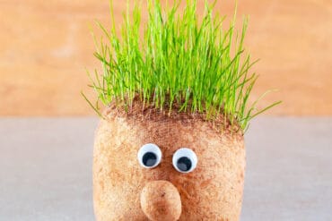 grass head diy