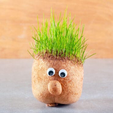 grass head diy