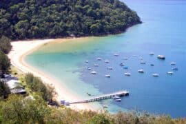 great mackerel beach sydney