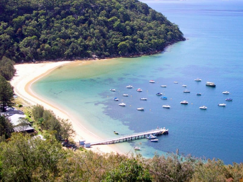 great mackerel beach sydney