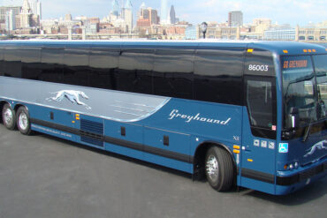 greyhounds buses