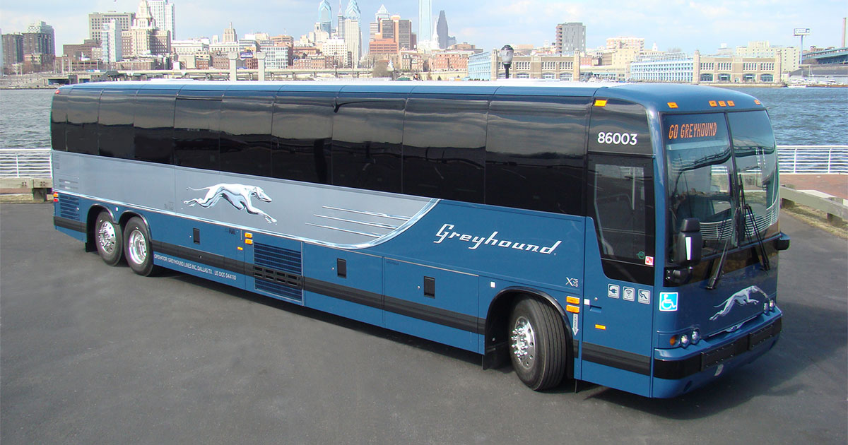 greyhounds buses