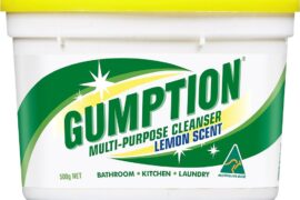 gumption