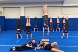 gymnastics clubs sydney