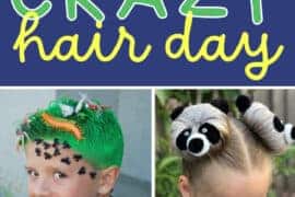 hair ideas for crazy hair day